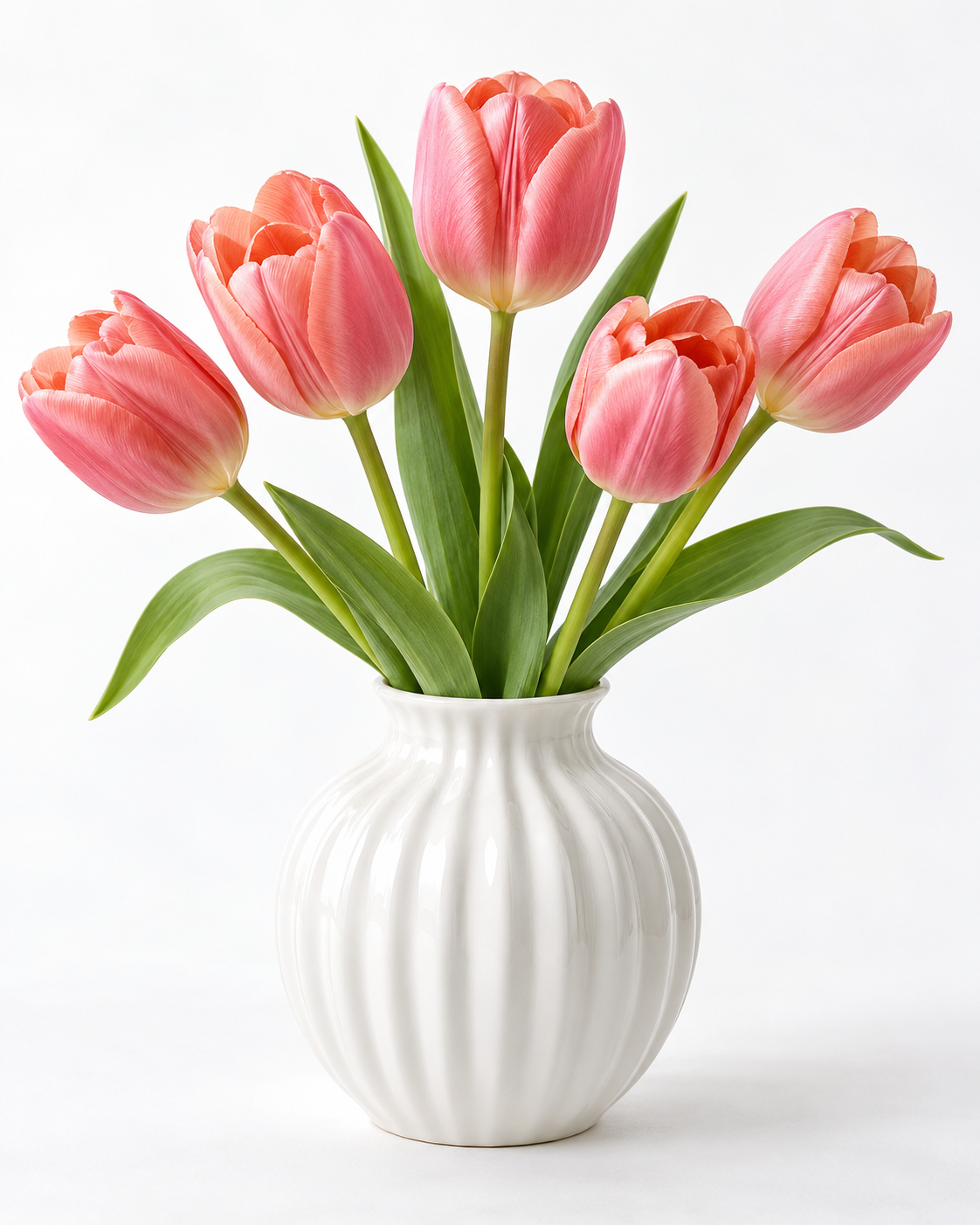 Pink tulips